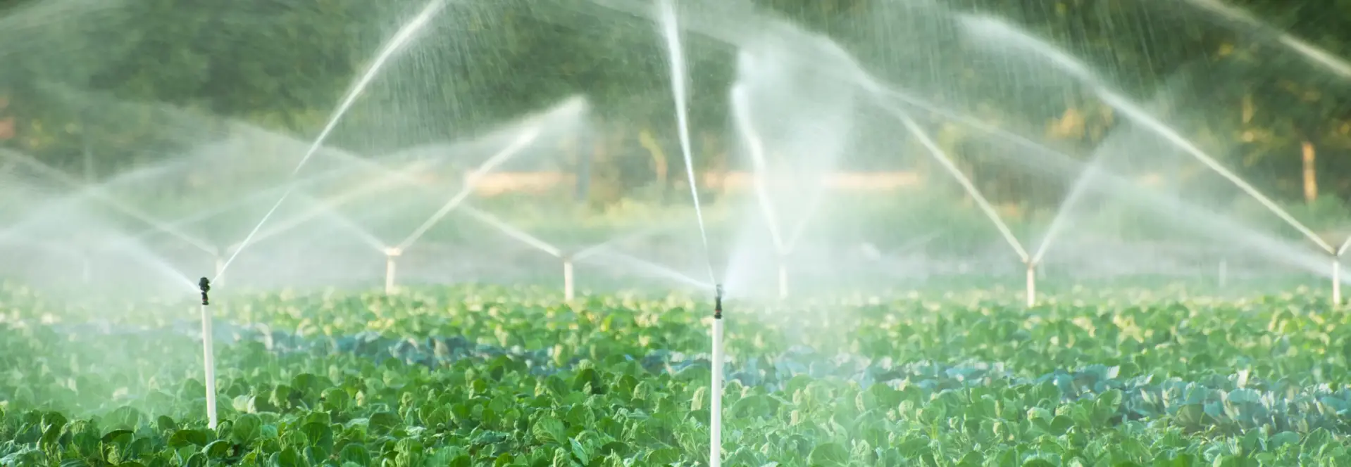 Úderové postrekovače