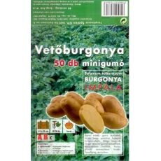 Holandské sadivo zemiakov IMPALA