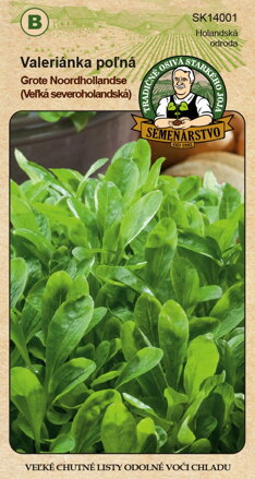 Valeriánka poľná Grote Noordhollandse