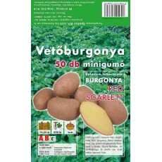 Holandské sadivo zemiakov RED SCARLETT