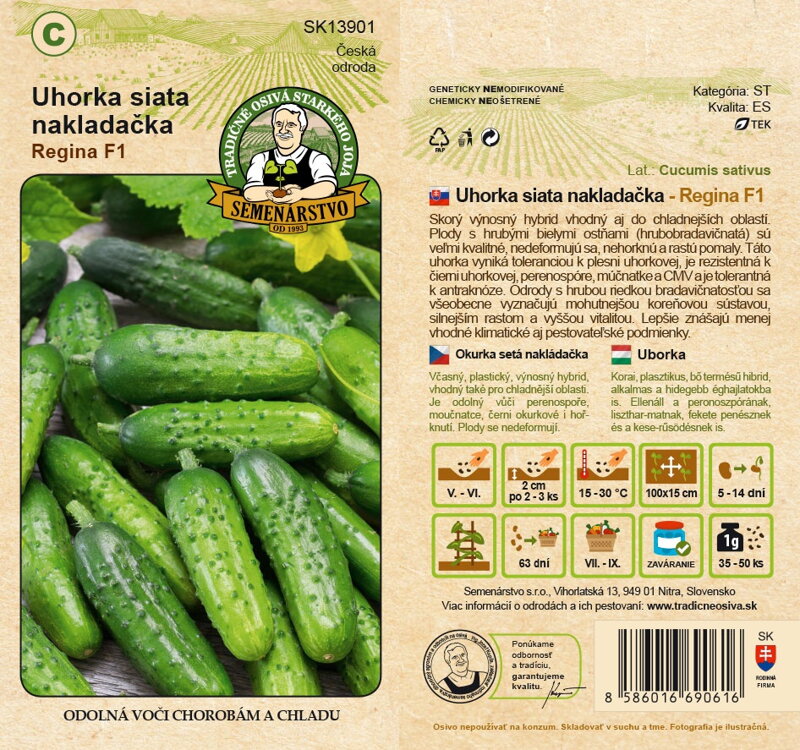 Uhorka siata nakladačka REGINA F1