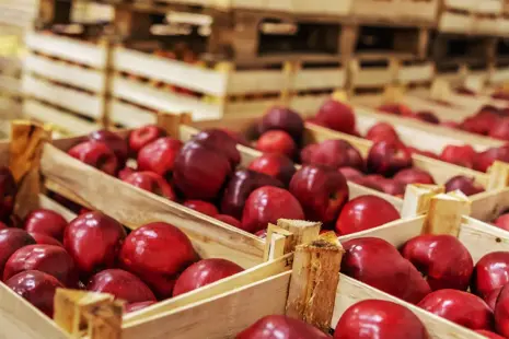 Ako uskladniť úrodu – zemiaky, jablká, cibuľu, tekvice (praktický sprievodca)