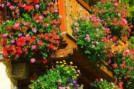 Balkónová závlaha